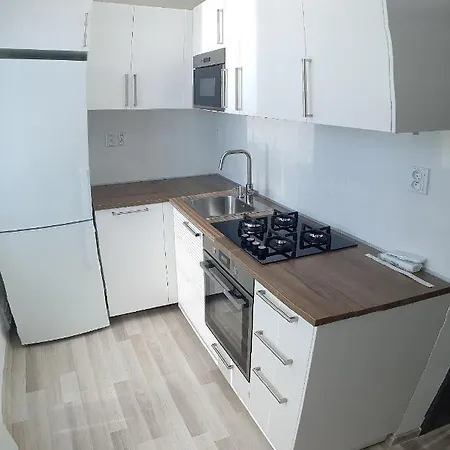 1+1 Apartment Znojmo
