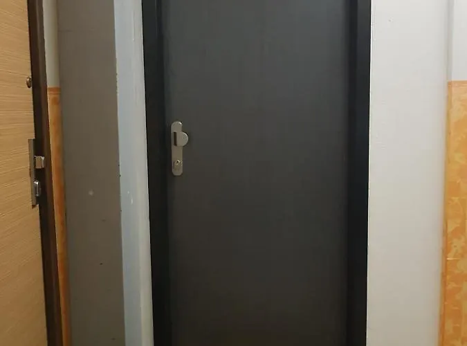 1+1 * זנוימו