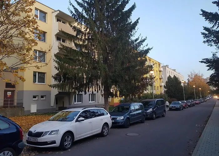 1+1 *
