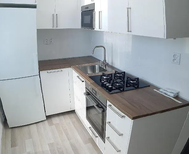 1+1 דירה זנוימו