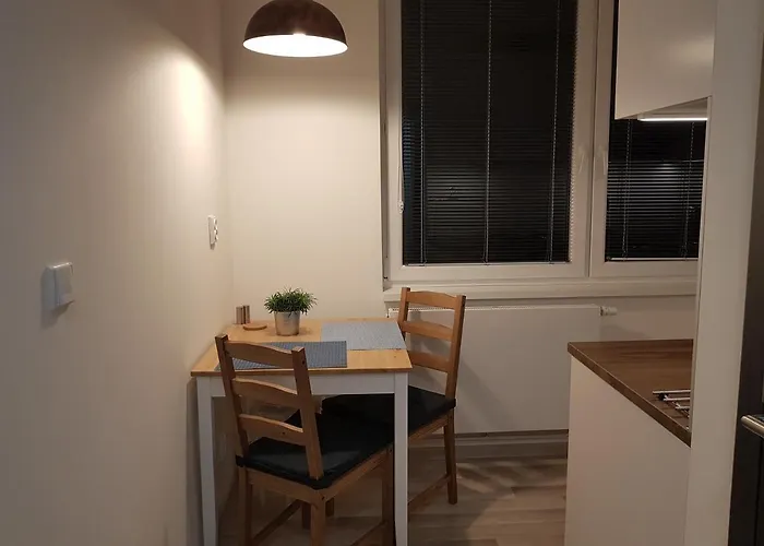 1+1 דירה זנוימו